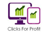Business Clicks for Profit in Haberfield NSW